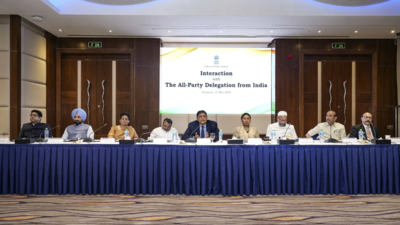 ‘End terror justifications, dismantle networks, take responsibility’: Indian delegation’s big message to Pakistan in Bahrain | India News