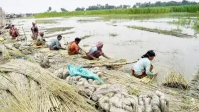 Jute industry eyes June 3 ECJ meet for relief amid supply crunch and soaring prices