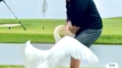 ‘Golf can be dangerous!’: Donald Trump shares bizarre image of ‘attack’ at Bedminster