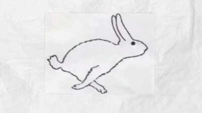 Optical illusion personality test: Duck or rabbit? The animal you see first reveals if you are emotional or logical |