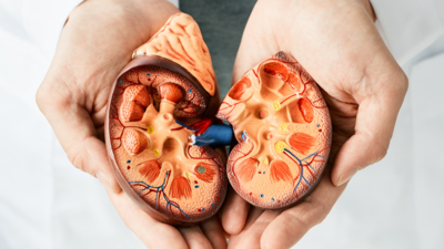 Kidney Damage Symptoms: The 7 early signs and symptoms of kidney damage that are commonly ignored |