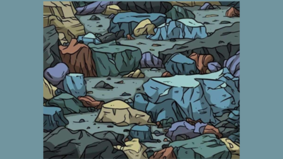 Optical Illusion: One snail is hiding among the rocks; can you spot it? |