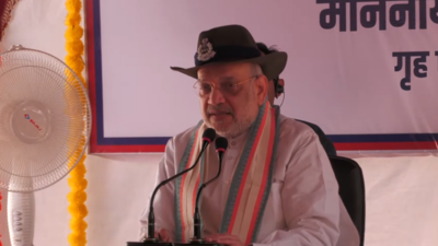 ‘Incapable of waging war for quite some time’: Amit Shah lauds BSF for destroying 118 Pakistani posts and communication system | India News