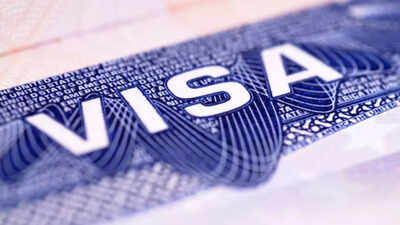 ‘If you want to apply for a visa…’: US on when suspension on interviews will be lifted