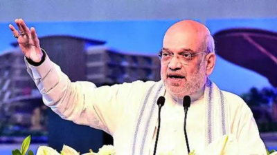 BSF smashed Pak posts & systems, will take years to rebuild: Shah | India News