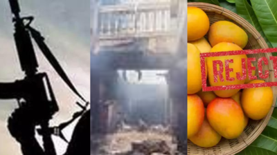 Top 5 news of the day: LeT terrorist killed in Pakistan, Hyderabad fire kills 17, US rejects Indian mangoes & more | India News