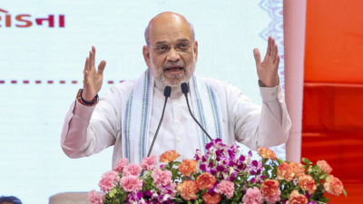 Union home minister Amit Shah launches revamped Overseas Citizen of India portal | India News