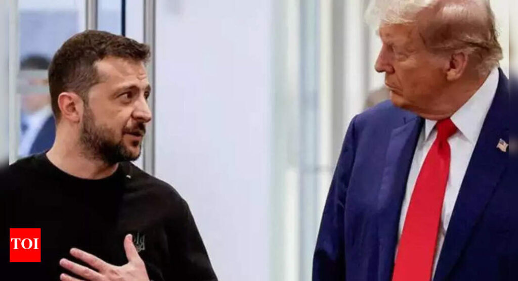 ‘What the hell…’: What Donald Trump said when he found out Zelenskyy was in South Africa