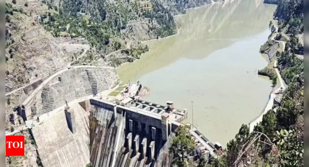 ‘Pakistan put in abeyance goodwill and friendship’: MEA on India suspending Indus Waters Treaty | India News