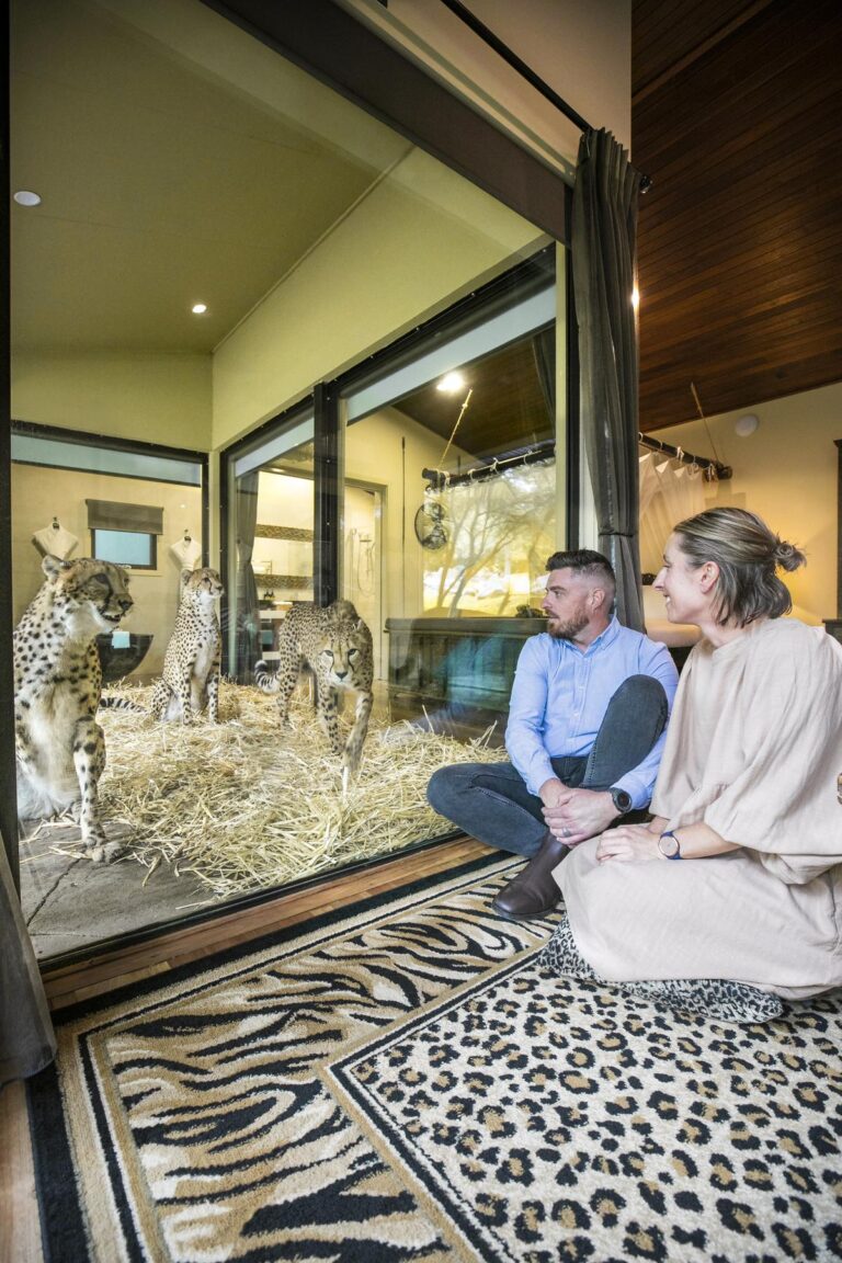 Sleep and dine alongside wild animals at Jamala Wildlife Lodge in Canberra