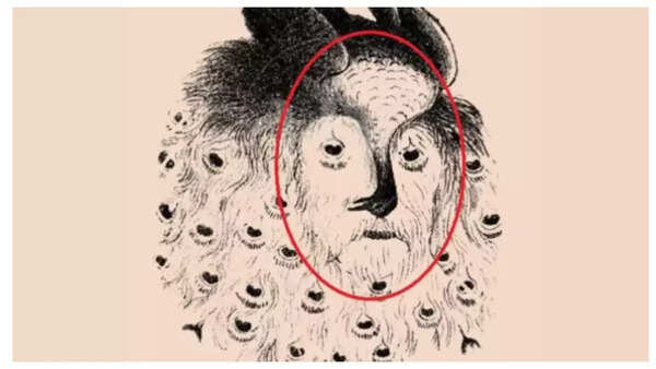 Optical illusion: Only a genius will be able to spot a man hidden inside this peacock in under 10 seconds!