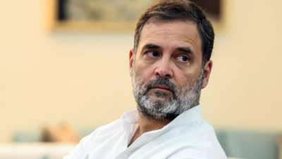 Allahabad high court dismisses plea challenging Rahul Gandhi’s citizenship | India News