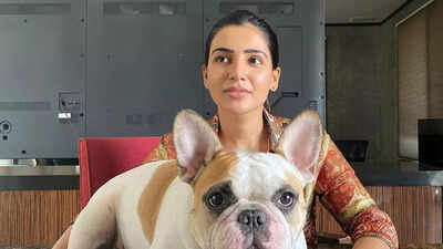 Inside Samantha Ruth Prabhu’s lavish Jubilee Hills residence | Tamil Movie News