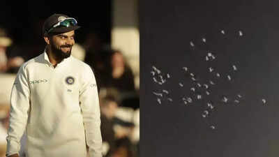 Watch: White pigeons pay tribute to Virat Kohli as rain halts RCB vs KKR clash | Cricket News