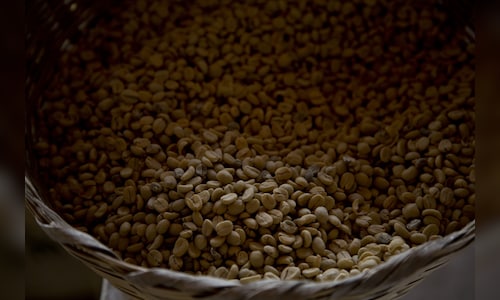 CCL Products shares surge 15% in best single-day gain since 2021 after Q4 results