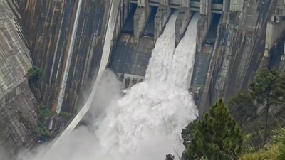 Chenab swells as India throws open 2 gates of Baglihar dam | India News