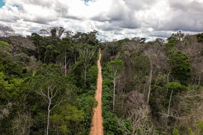 Pricing birdsong: EU mulls nature credits to help biodiversity