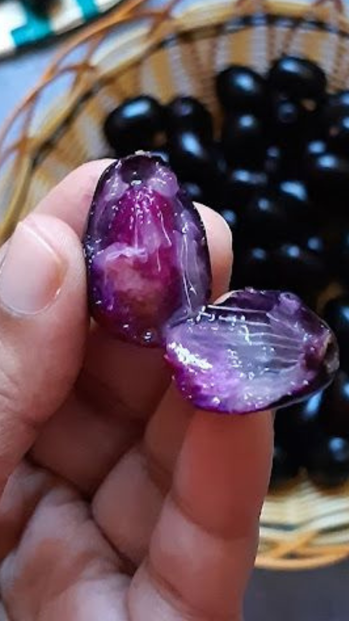 10 reasons to have Jamun seed powder on an empty stomach