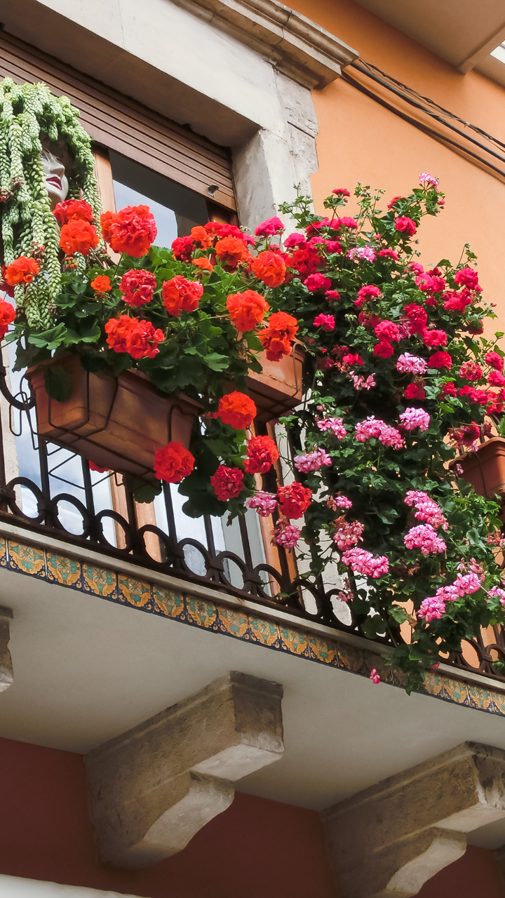 10 common gardening practices that will put your plants at risk