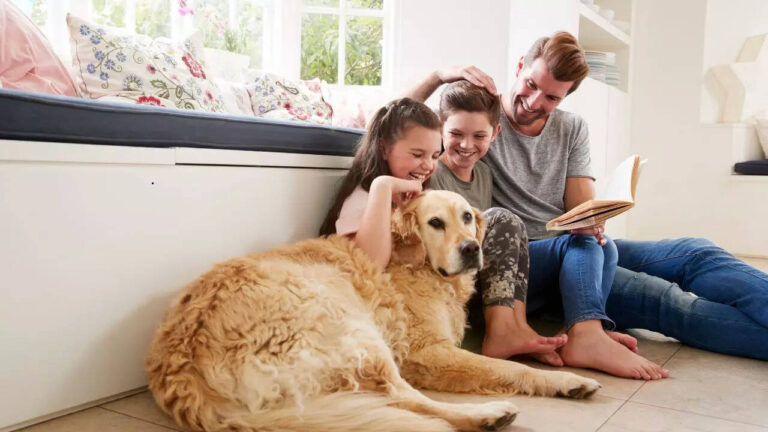 5 large pet dog breeds that are great with kids