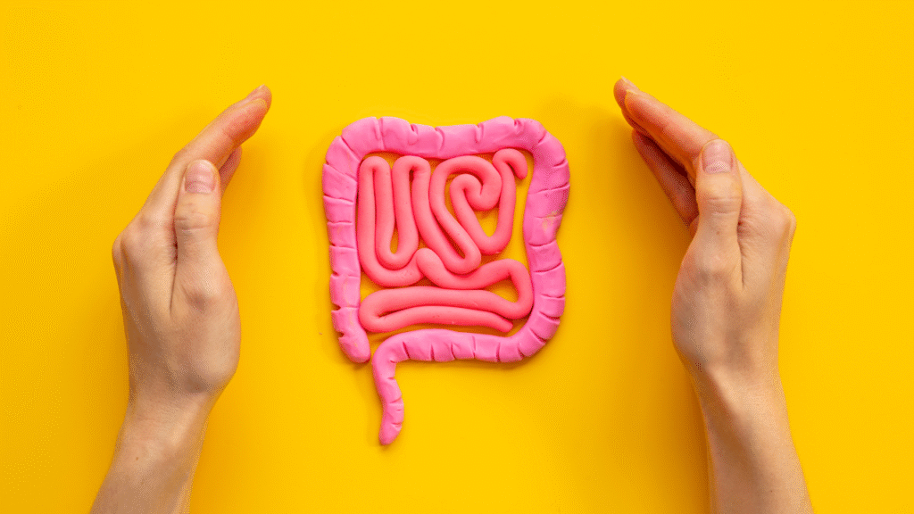 Doctor approved 5 steps to heal the gut after taking antibiotics