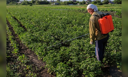 UPL Q4 Results: Stock falls from the highs after FY26 revenue, EBITDA guidance disappoints