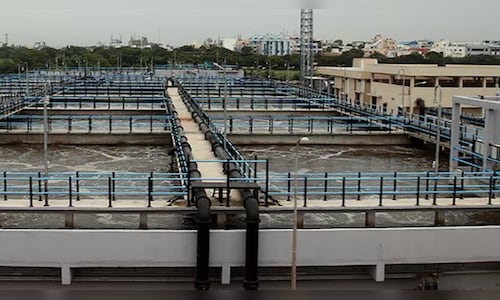 Triveni Engineering Q4 Results: Profit up 14% YoY, revenue jumps over 24%; dividend declared