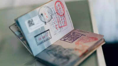 From e-passports to colour-coded covers: Indian expats in UAE to see major passport overhaul in 2025