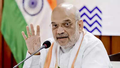 Amit Shah bats for bigger role for farm credit societies | India News