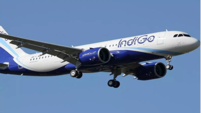 IndiGo doubles wide-body aircraft order