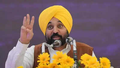 Bhagwant Mann’s ‘one nation, one husband’ remark: BJP says it is ‘vulgarity dressed as leadership’ | India News