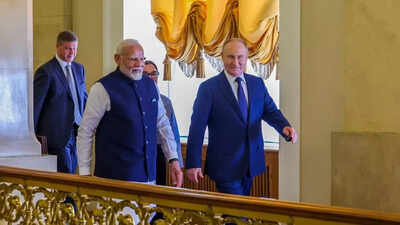 India getting under US skin by buying Russian arms, says Trump surrogate | India News