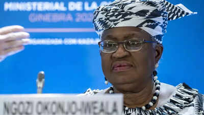 India should open way for developing nations: WTO