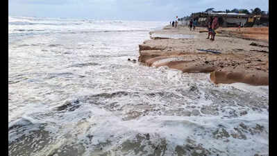 Goa prof Sergio Carvalho’s actions spurred rules for development on country’s coasts | Goa News