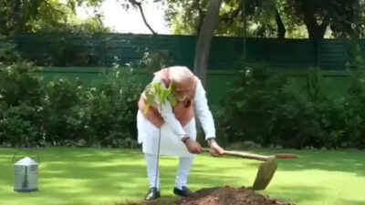 PM Modi marks Environment Day; plants Sindoor at residence- watch video | India News