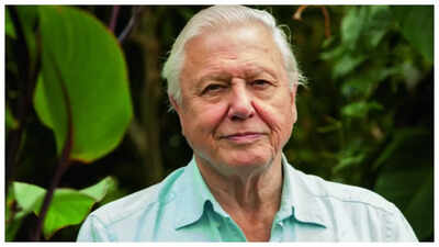 Broadcaster David Attenborough turned 99 last month. THESE 5 habits are his secret to longevity (and they are so easy to follow!) |
