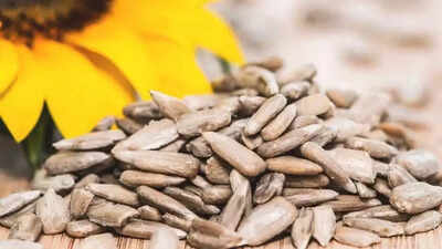 Sunflower Seeds Benefits: High in zinc, magnesium, and mood-lifting benefits |