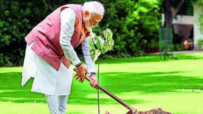 PM marks World Environment Day with a Sindoor sapling | India News