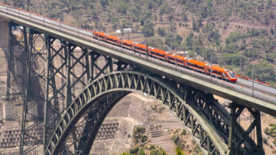 Horses and mules to the rescue: How Chenab Bridge was built in Kashmir – The origin story | India News