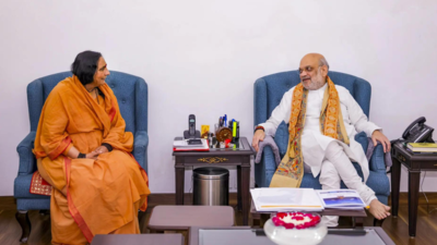 Amit Shah launches language hub to ‘decolonise’ admin | India News