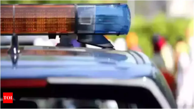 Suspecting affair, Bengaluru man beheads wife after quarrel; surrenders to cops with severed head | India News