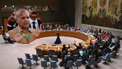 Pakistan’s demand to chair 4 UN terror-related panels snubbed, finally given only one