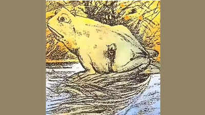 Optical illusion personality test: Horse or frog? What you spot first reveals if you are happy about the future or sad about the past