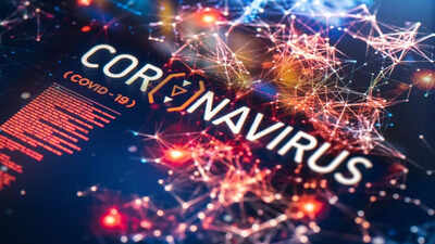 Pandemic 2.0 alert: Wild animal markets with bats, raccoon dogs and macaques could spark the next global outbreak |