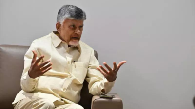 Andhra CM N Chandrababu Naidu pitches financial incentives to have more kids | India News