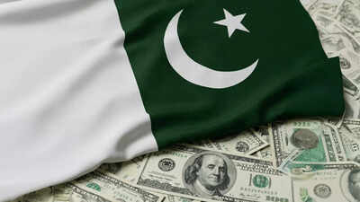 ‘Turnaround story next year’: Pakistan’s debt increases to PRs 76,000 billion; its FM claims economy on path to recovery