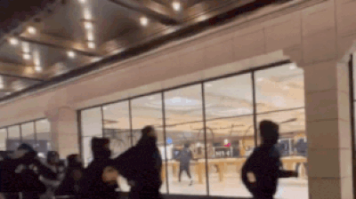 Troops and turmoil in LA: Masked looters raid Apple store amidst immigration protests – viral video