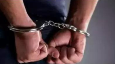 Lawyer jailed for abusing judicial officer | India News