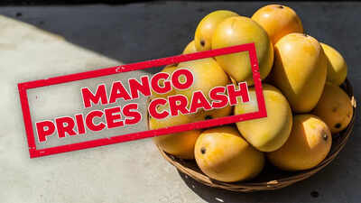 Mango prices plunge! ‘King of fruits’ now available at just Rs 40-45 per kg; rates unlikely to go up soon