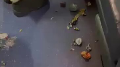 Row over ‘dirty’ train for BSF, 4 suspended | India News